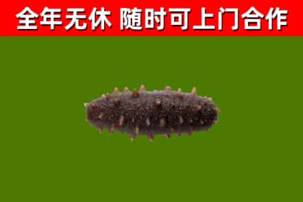 海东烟酒回收干海参.jpg